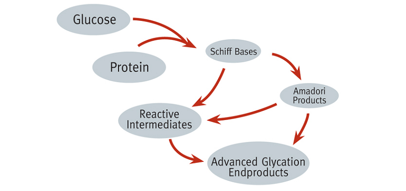 glycation skin impact