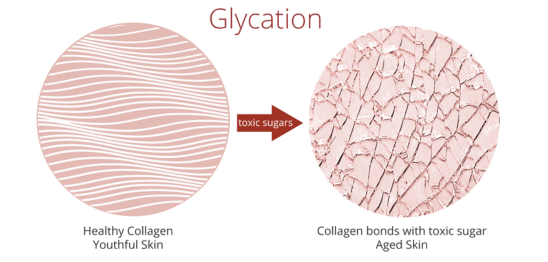 sugars in diet