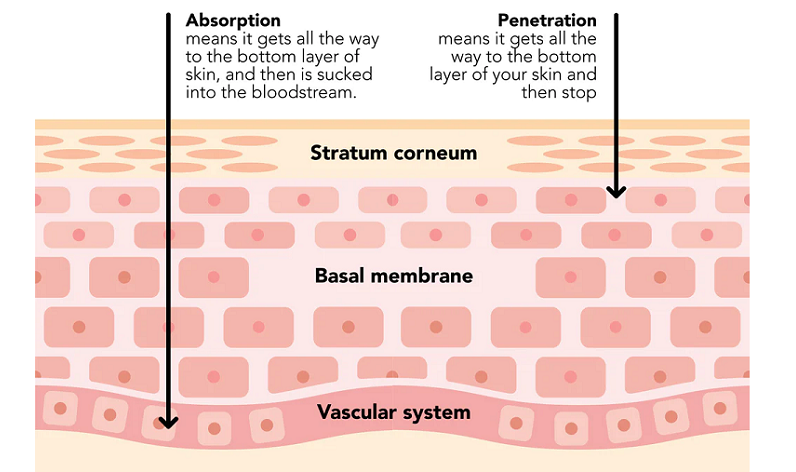 stratum corneum function